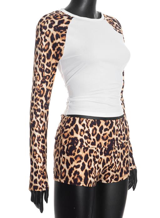 2026 Spring Women's Set Round  – обзор и цена T Shirt Tight Fit
