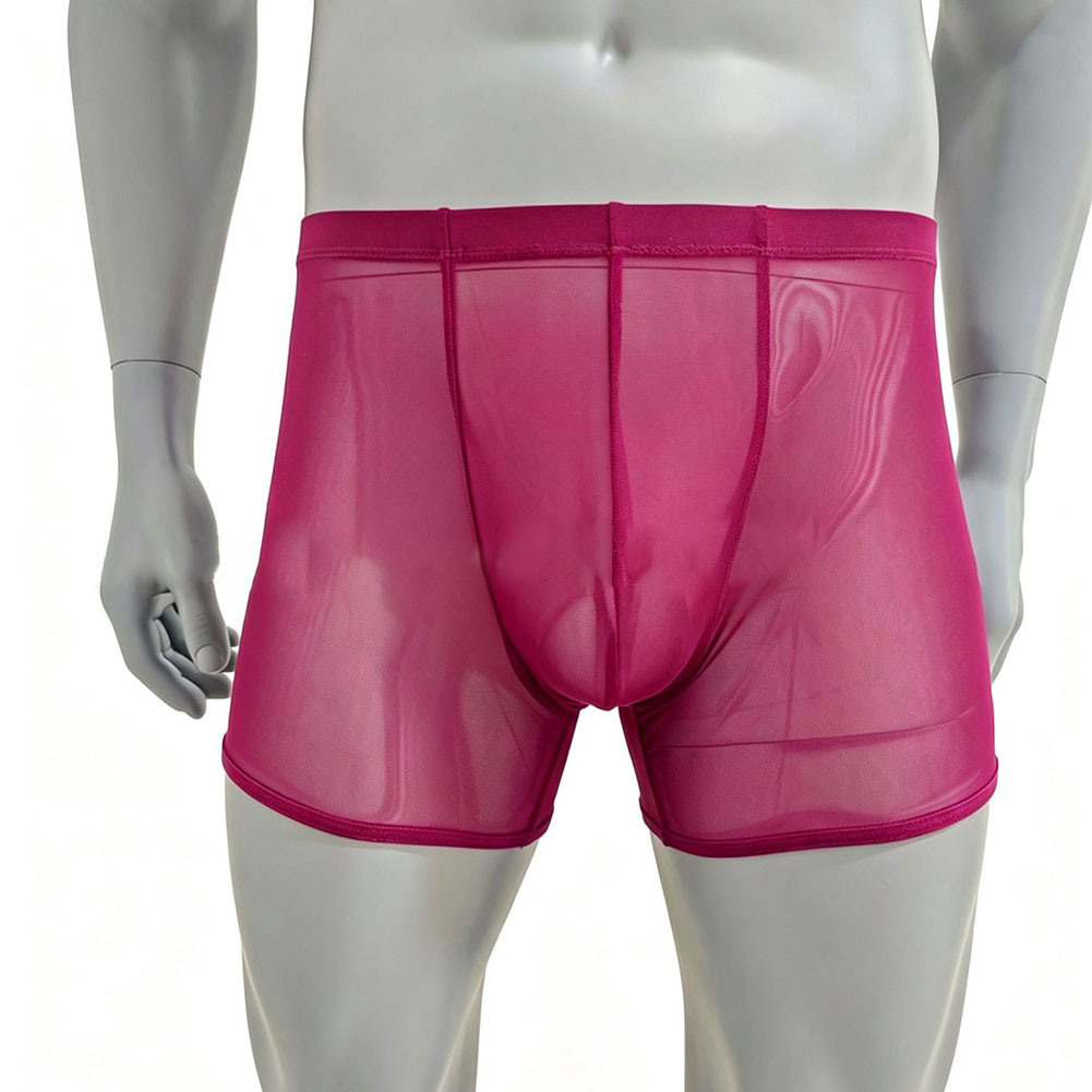 Men Mesh See-through Ultra-thi – обзор и цена Long Leg Trunk Men